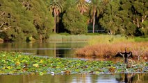 Centennial Parklands Foundation - Support your Parklands today