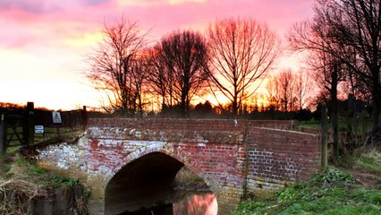 Musique pour les chiens. Améliorer le comportement de votre chien.