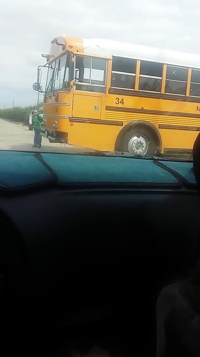 La Réaction de ce Canard quand il voit ce Petit Garçon est Emouvante