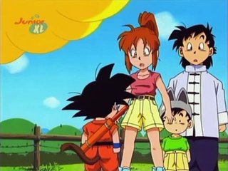 Son Goku und das weibliche Geschlecht