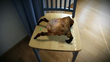 Half-Life 2 : Headcrab In Real Life !