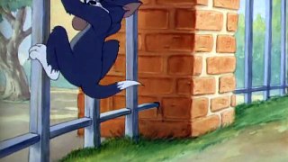 Tập 16 - Puttin' On The Dog – Tom & Jerry