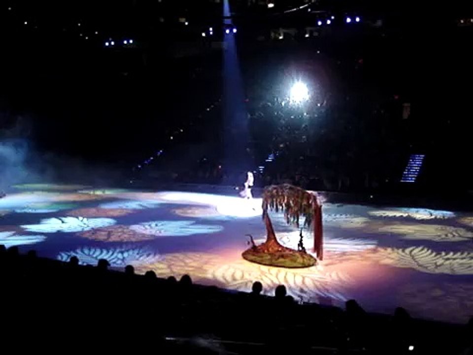Sleeping Beauty Ice