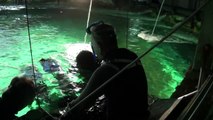 Juan Luis Cano Bucea con Tiburones | Zoo Aquarium Madrid