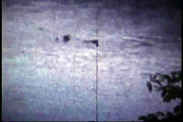 Ogopogo Loch Ness Monster of Long Lake