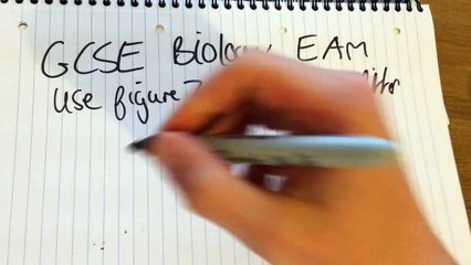 2015 GCSE Biology Exam ANSWERS- Q=EXERCISE&Person 2