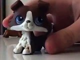 Lps: Opening my Package from eBay! (New Collie)