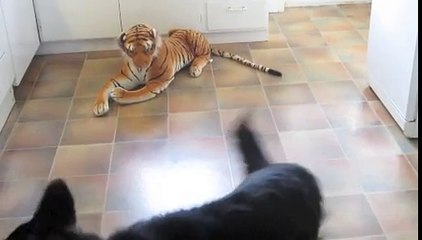berger allemand vs tigre en peluche