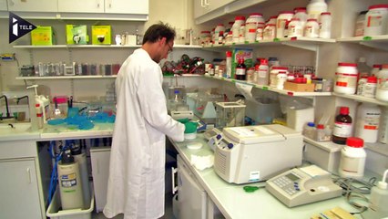 Ma thèse en 180 secondes : la science accessible au grand public