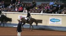 Hot N Addictive - 2010 AQHA Outstanding Mare by Hot N Blazing