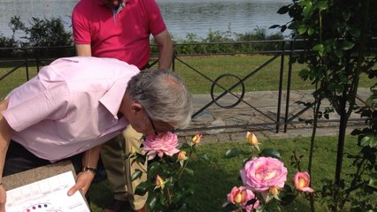 Concours de la rose parfumée