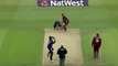 Paul Collingwood Two Super Identical Catches    Absolute Breathtaking Grabs