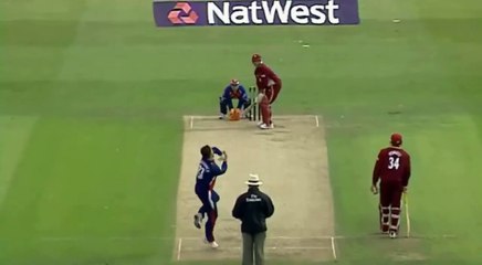 Paul Collingwood Two Super Identical Catches    Absolute Breathtaking Grabs