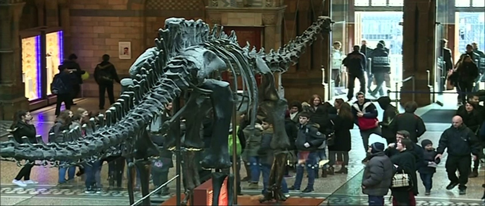 Hellboy lookalike dinosaur uncovered in Canada