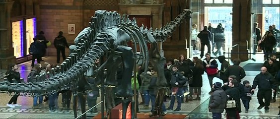 Hellboy lookalike dinosaur uncovered in Canada