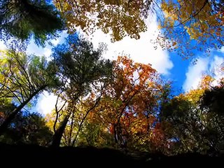 Moody Blues-Watching and Waiting