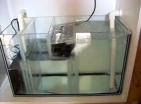 Home made salt water aquarium sump/refugium biofilter