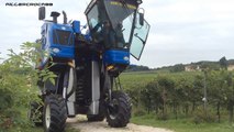 New Holland Braud VL 6080 Grape Harvester