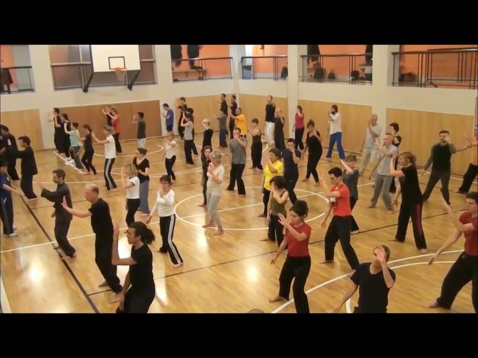 ECOLE DU TIGRE VOLANT   TAICHI QIGONG KUNGFU PARIS 7
