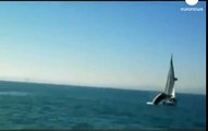 Whale Crashes into a Sail Boat! MUST SEE!