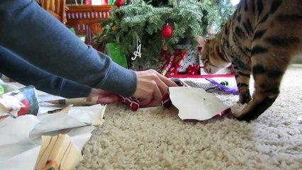 Christmas Special 2014