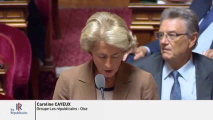 Transports : " Il ne peut y avoir de démembrement des trains intercités sans débat devant la représentation nationale !"