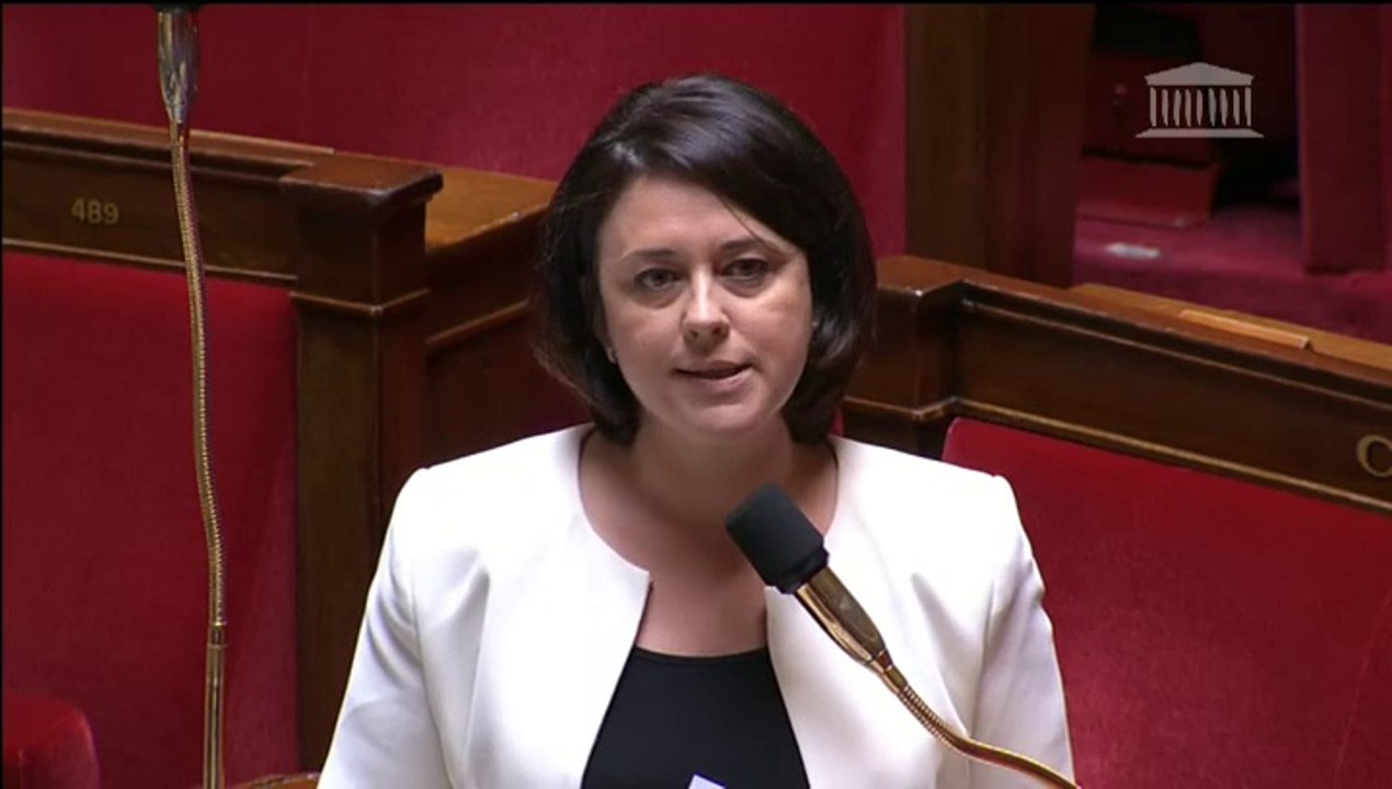 Situation du secteur du bâtiment et des travaux publics en Haute-Savoie : réponse de S. Pinel