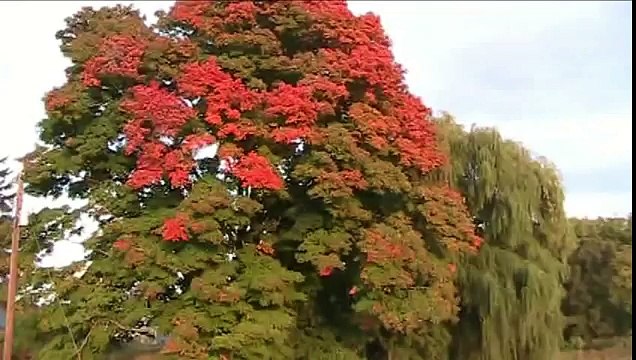 Walk For Liberty Day 148 - Who Is Best Equipped to Help Homeless People and Address the Issue of Homelessness? Government Is Not, But Rather, Private Charity Is!