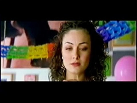 Politiki Kouzina - Baharat, tarçın ve buse
