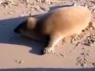 Sometimes in life all you need is a hug