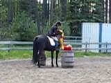 Willow View Laser Shinook, Canadian mare doing trail obstacles