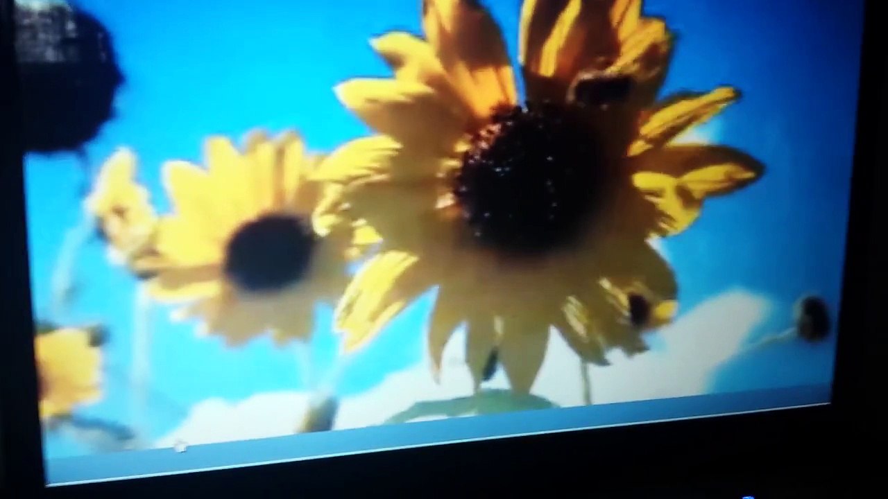 Sid the science kid susie song busy busy busy