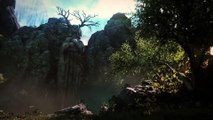 The Bards Tale IV : Première vidéo in-engine