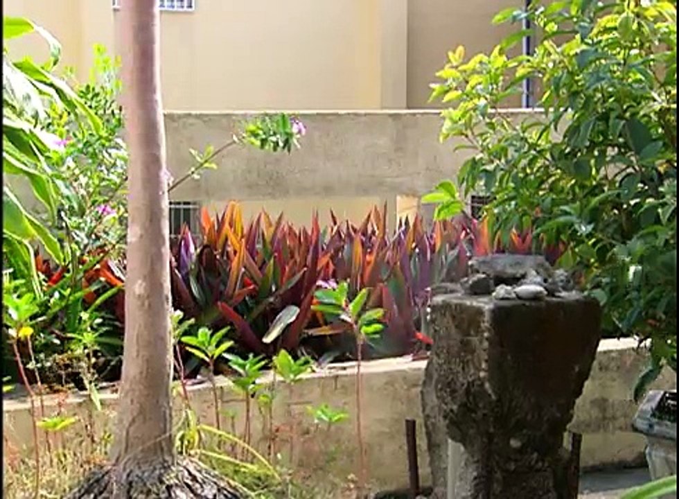 大愛電視DaAiTV_長情劇展_人間渡系列_11_愛的迴旋曲_精彩片花.mov