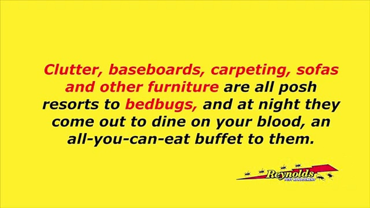 Bed Bugs Pest Control South Florida