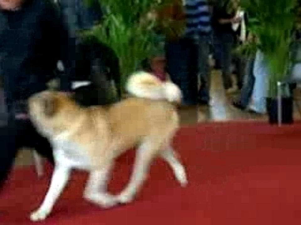 Unly You du Val de la Boissiere