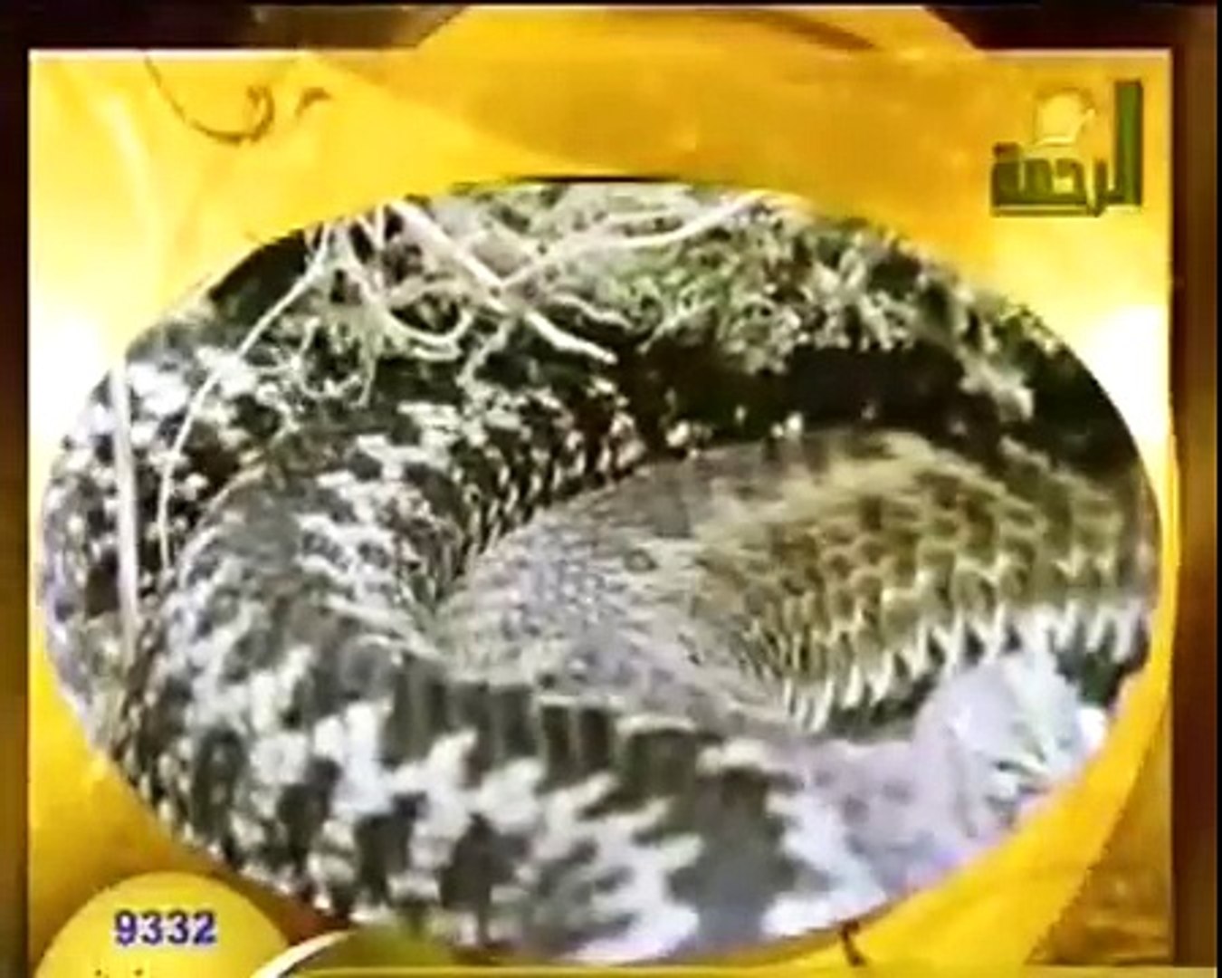 أفلام وثائقية | من عجائب خلق الله - الأنكوندا
