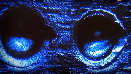 Las Vegas CSU  ~ Finnigan