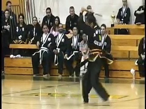 Kuk Sool Won Demo Master Sung Jin Suh