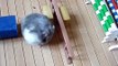 Hamster parcours d'agility 2 + bêtisier