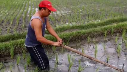korte versie landbouwsystemen geogenie