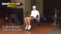 Advanced Home Bicep Workout, Bodybuilding