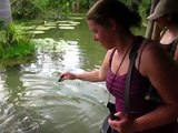 Feeding Paiche Fish (Arapaima) near Iquitos, Peru