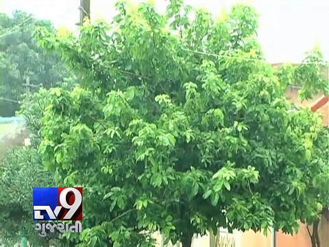 How El-Nino impacts monsoon rainfall in India - Tv9 Gujarati