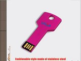 Litop? 64GB Hot Pink Metal Key Shape USB Flash Drive USB 2.0 Memory Disk with 1 Gift Box and