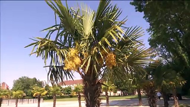 Record de chaleur dans la région : zoom à Arras