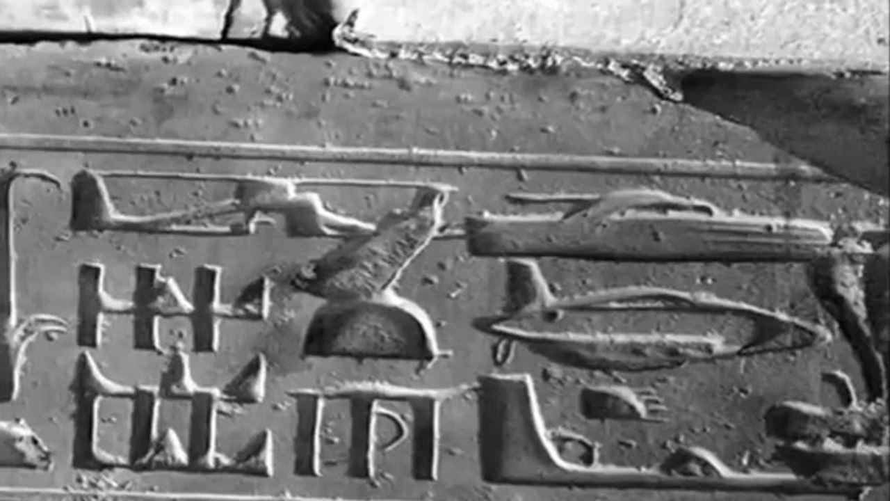 Bir Uzaylıdan Dünya Dışı Yaşamlar Hakkında 10 Önemli Bilgi