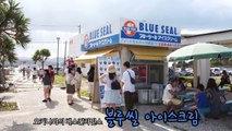 [담쓰] 오키나와 여행 day2 (츄라우미 수족관, 파인애플파크, Okinawa, Japan trip)
