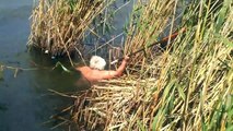 fishing in lisi's lake, tevzaova lisis tbaze, თევზაობა ლისის ტბაზე