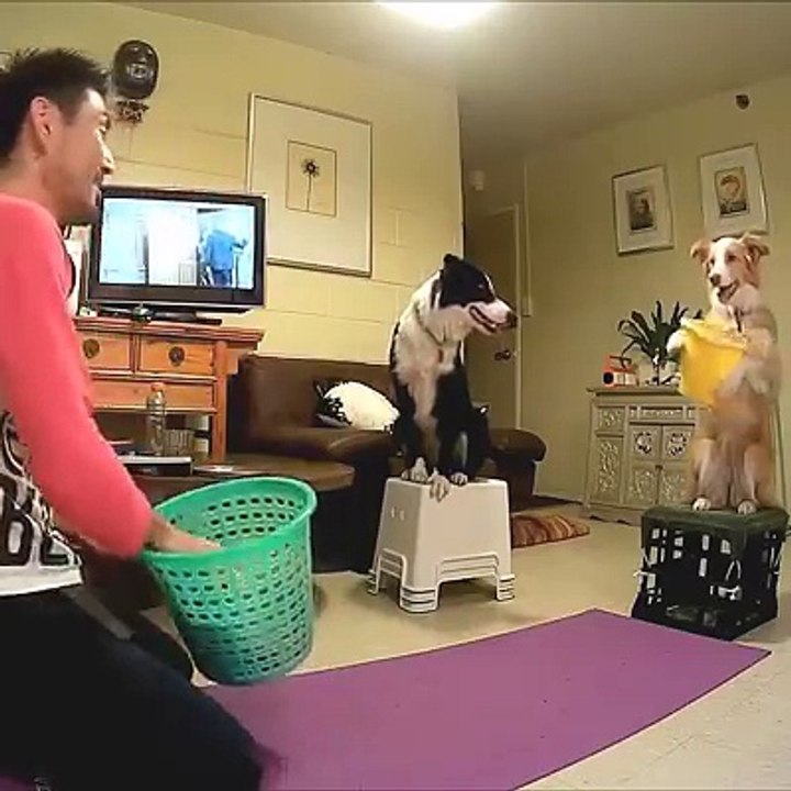 The cutest game of 'catch' ever! x